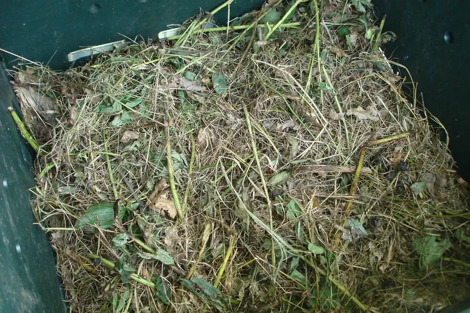 Matières végétales en cours de décomposition dans un bac à compost, herbes sèches et épluchures